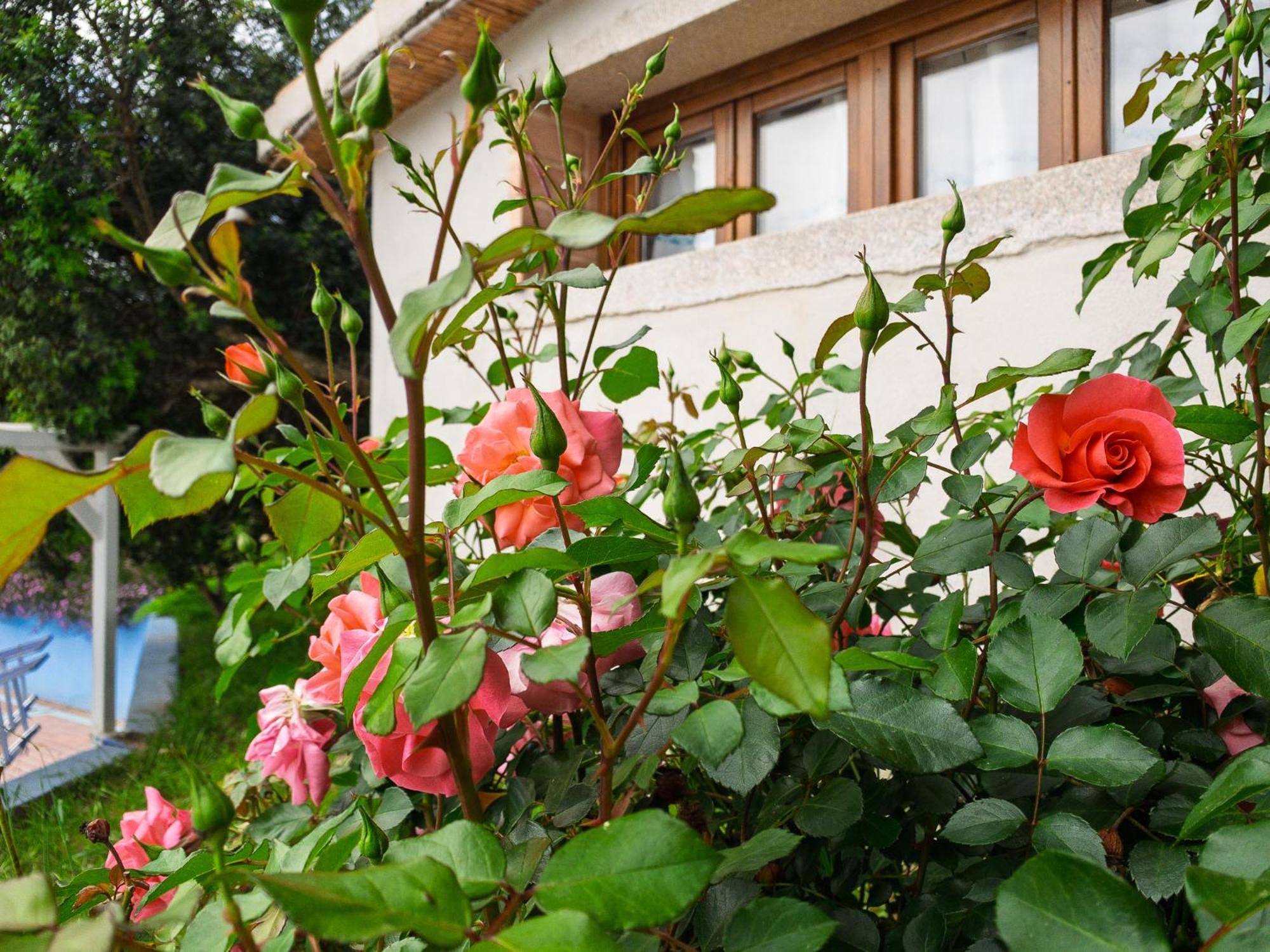 Agriturismo Guparza Posada  Exteriér fotografie