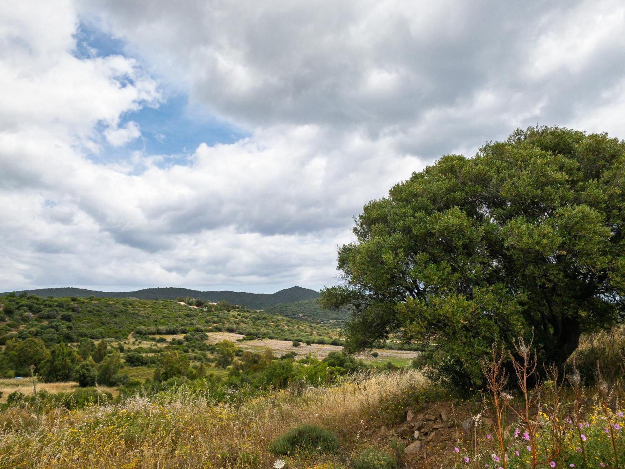 Agriturismo Guparza Posada  Exteriér fotografie